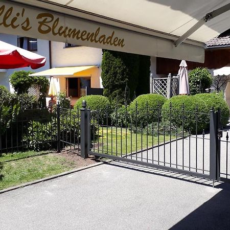 Appartamento Haus Ritter Missen-Wilhams Esterno foto