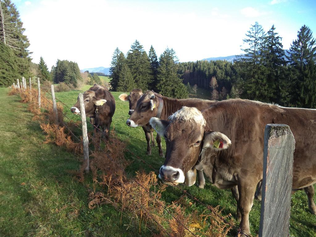 Appartamento Haus Ritter Missen-Wilhams Esterno foto